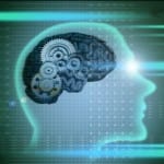 Why developing your emotional intelligence is the most important tool in your job search